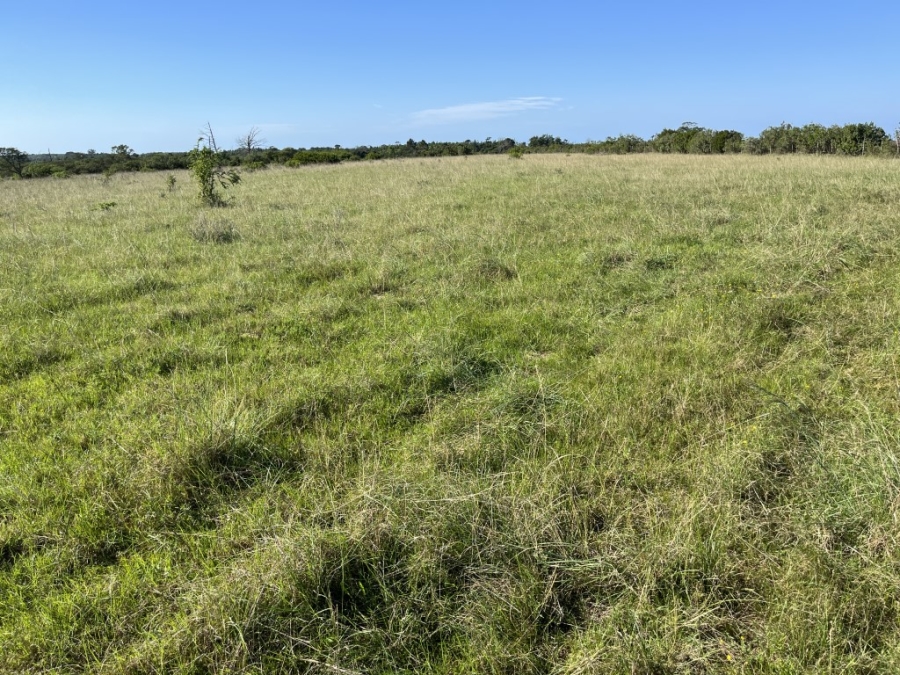 Commercial Property for Sale in Bathurst Rural Eastern Cape